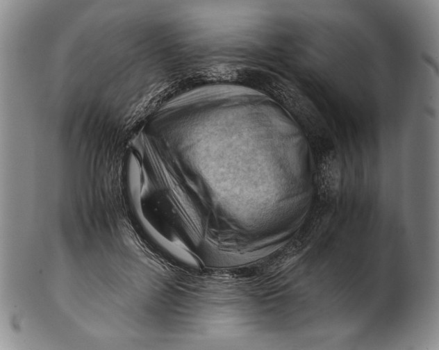 X0000101960600200808081530