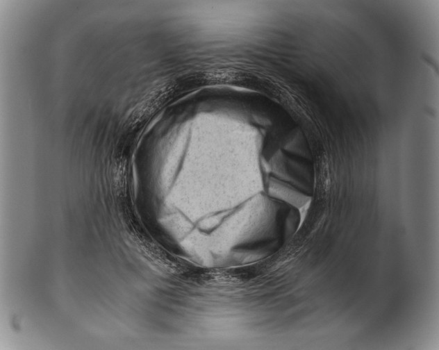 X0000101960601200808081530