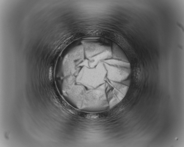 X0000101960602200808081530