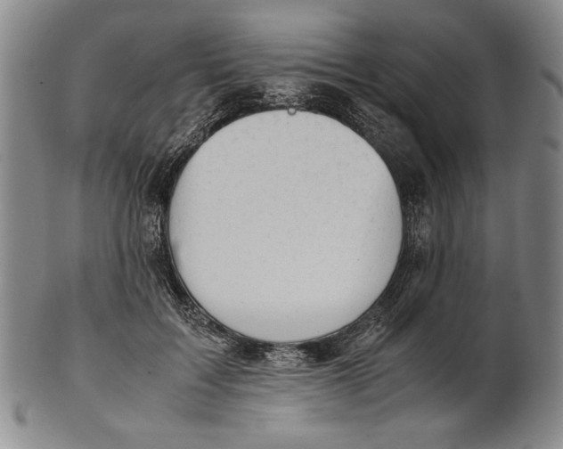 X0000101960603200808081530