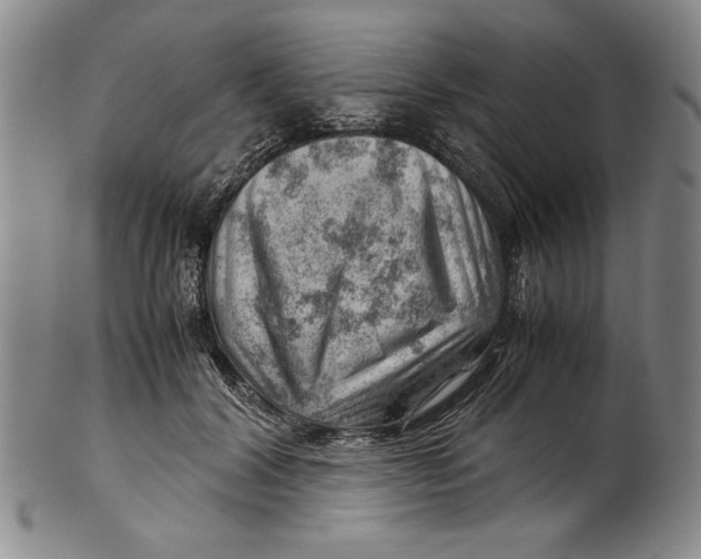 X0000101960604200808081530