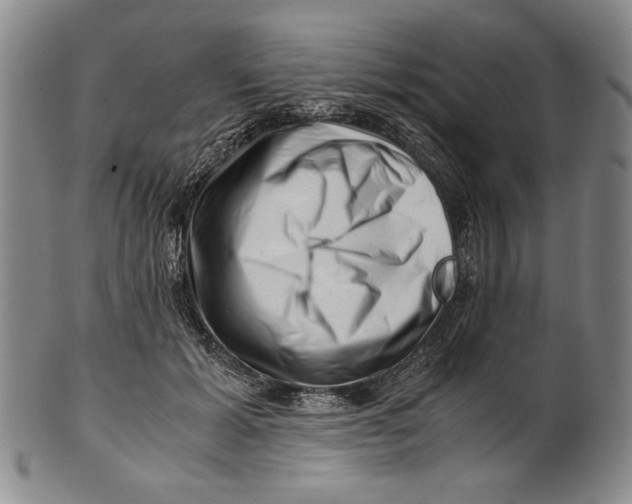 X0000101960605200808081530