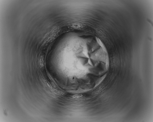 X0000101960606200808081530