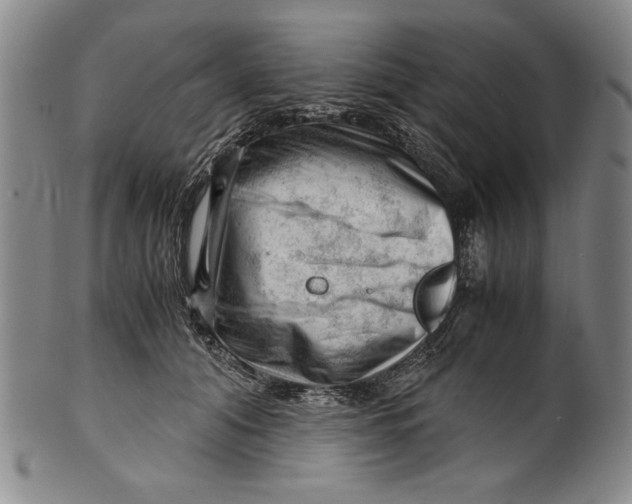 X0000101960608200808081530