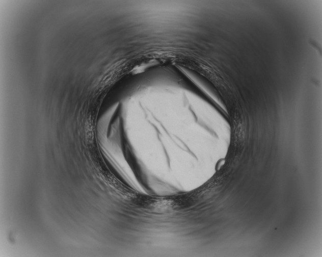 X0000101960609200808081530