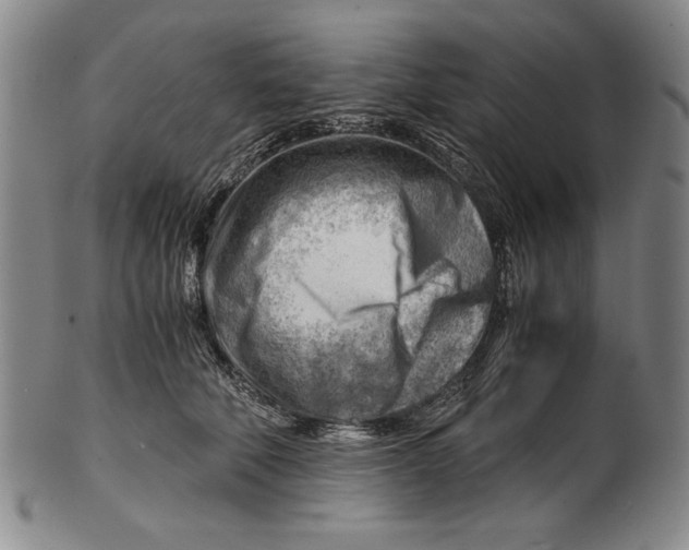 X0000101960610200808081530