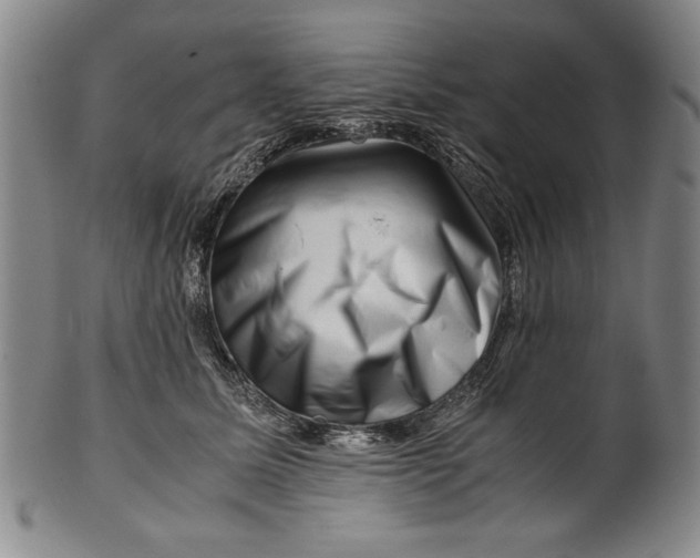 X0000101960611200808081530