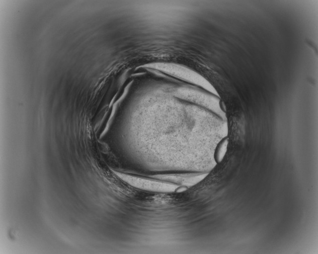 X0000101960612200808081530