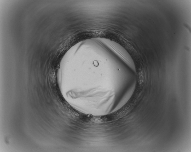 X0000101960613200808081529