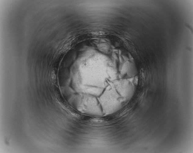 X0000101960614200808081529