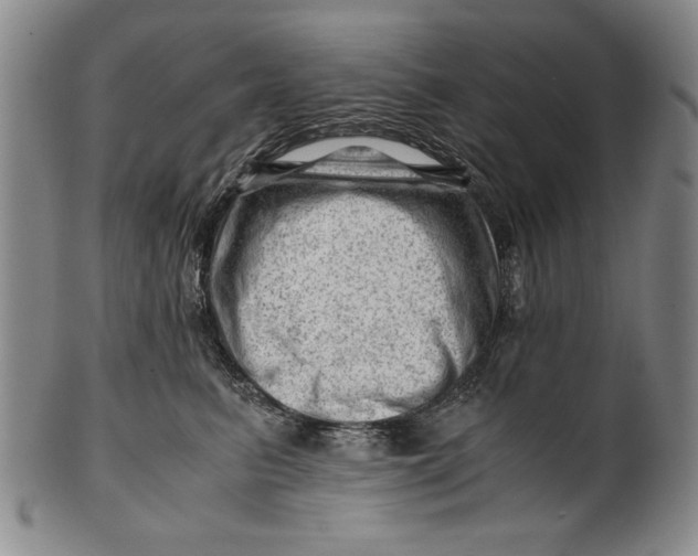 X0000101960615200808081529