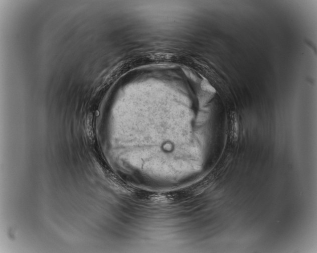 X0000101960616200808081529