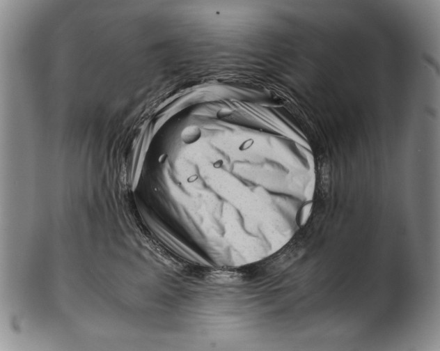 X0000101960617200808081529