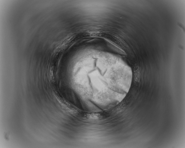 X0000101960618200808081529
