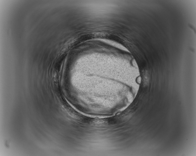X0000101960619200808081529