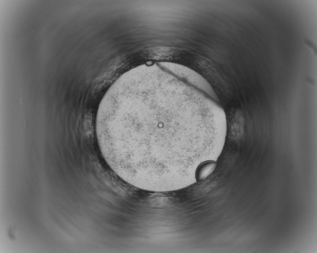 X0000101960620200808081529