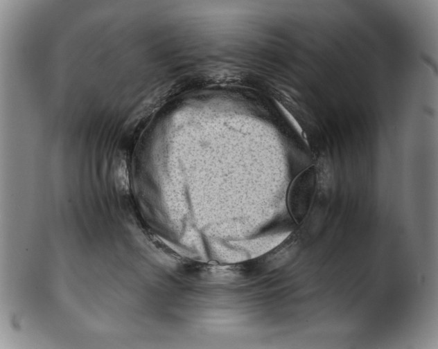 X0000101960622200808081529