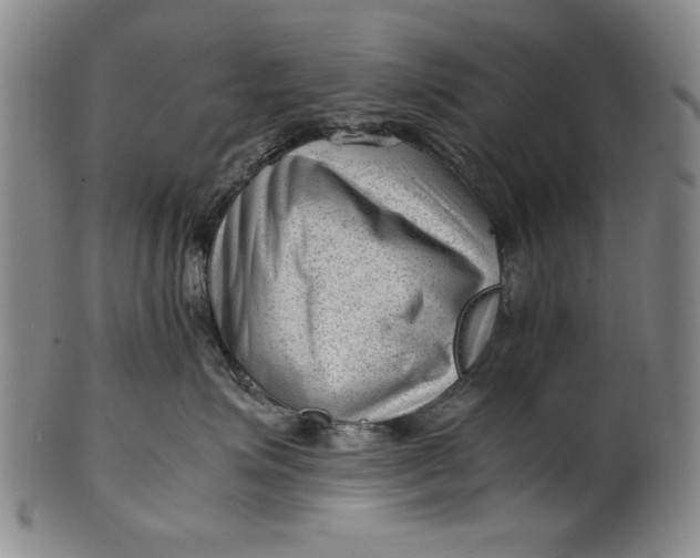 X0000101960623200808081529