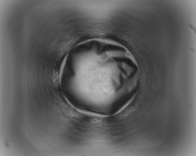 X0000101960624200808081529