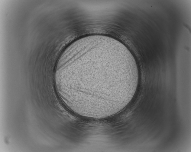 X0000101960625200808081529