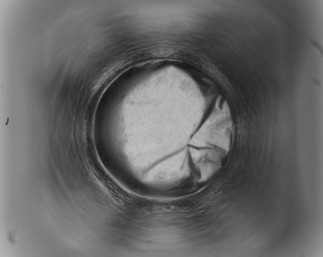X0000101960626200808081529