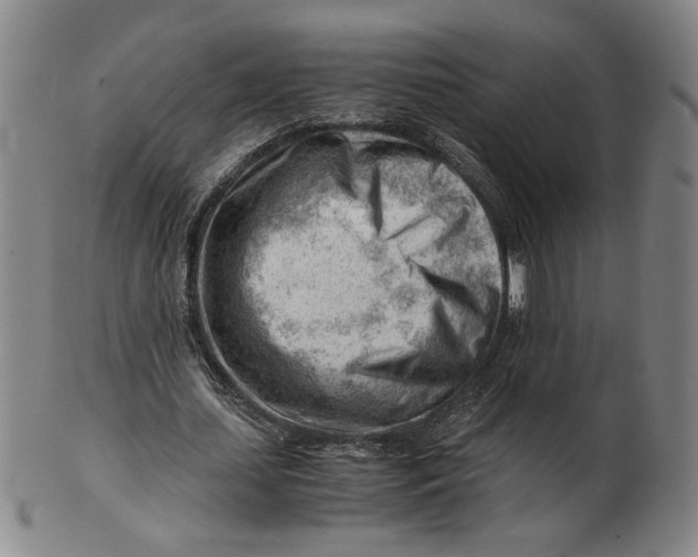 X0000101960627200808081529