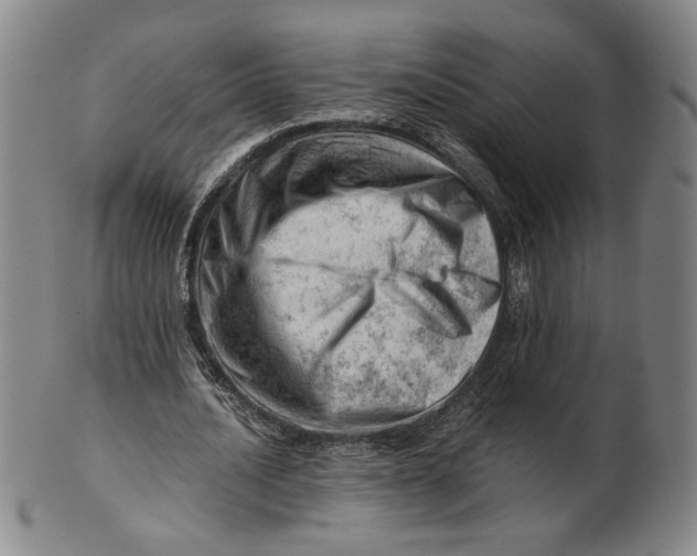 X0000101960628200808081529