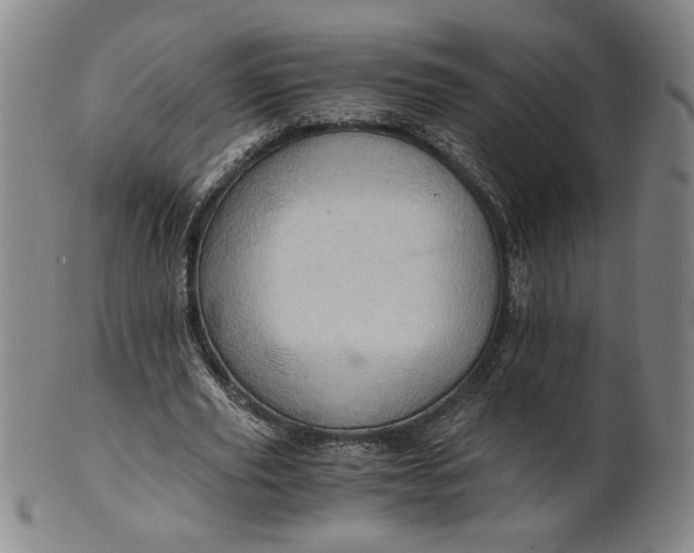 X0000101960629200808081529