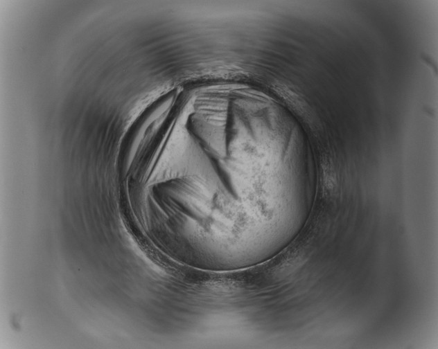 X0000101960630200808081529