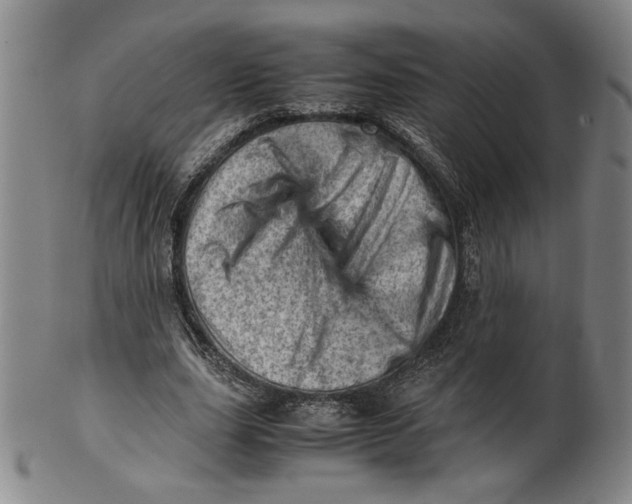 X0000101960631200808081529