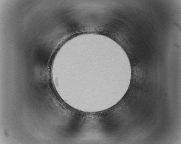 X0000101960632200808081529