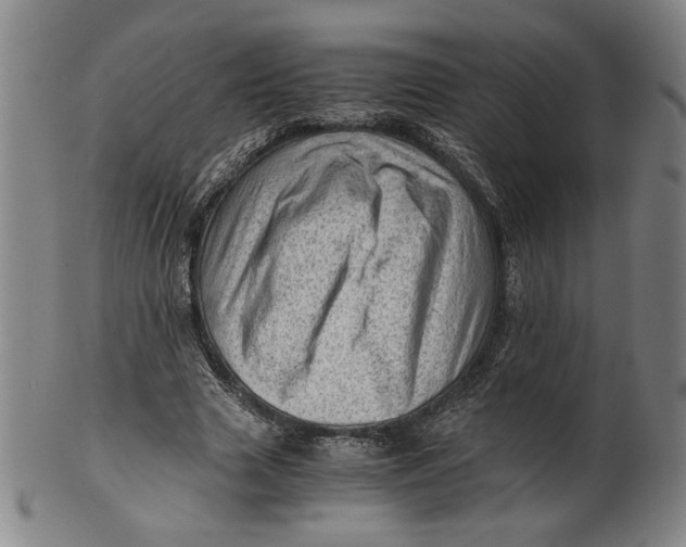 X0000101960633200808081529