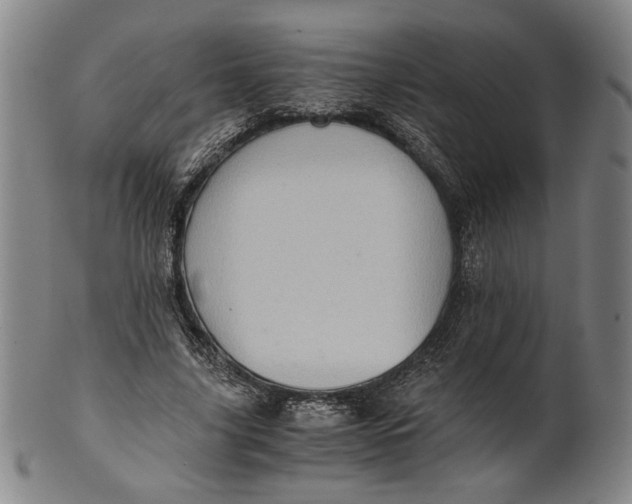 X0000101960635200808081529