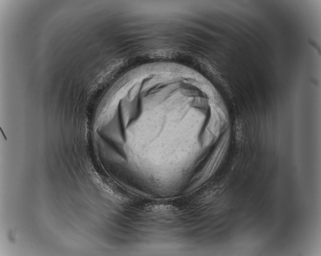 X0000101960637200808081529