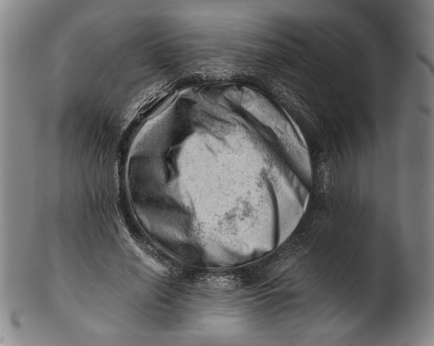 X0000101960638200808081529