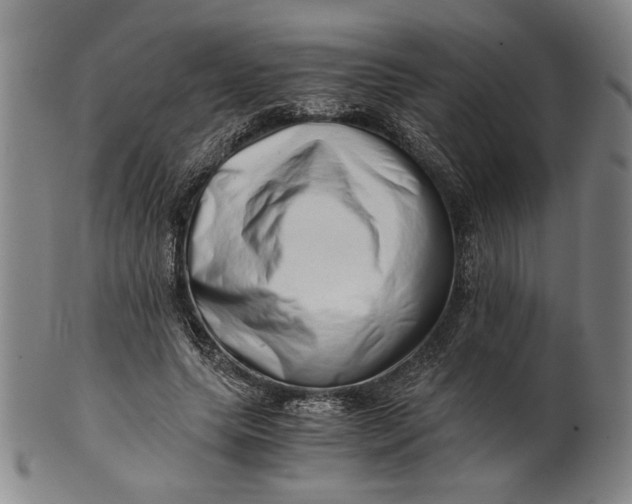 X0000101960639200808081529
