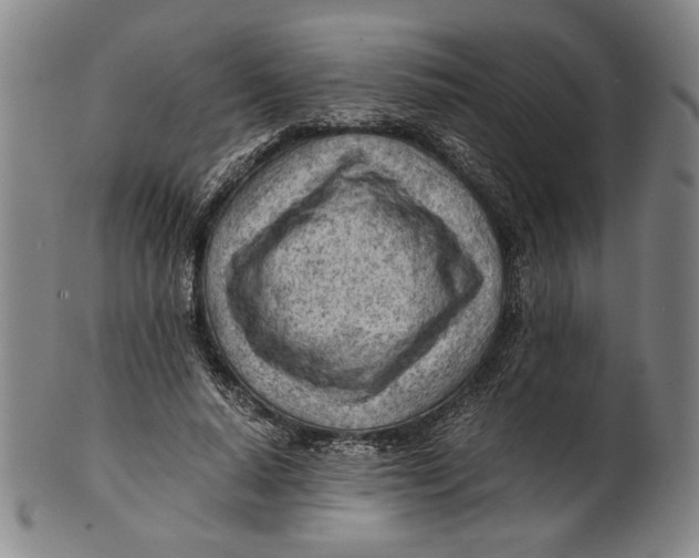 X0000101960640200808081529