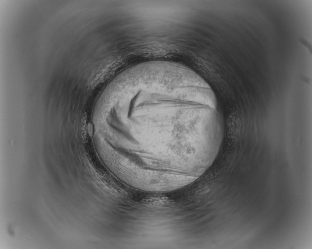 X0000101960642200808081529