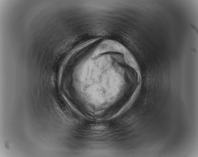X0000101960643200808081529