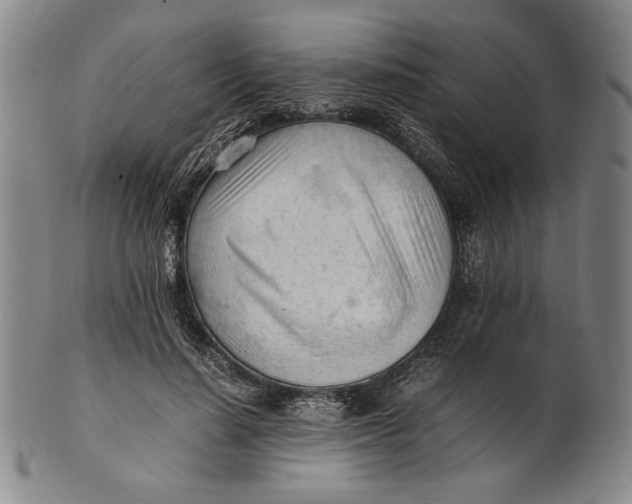 X0000101960644200808081529