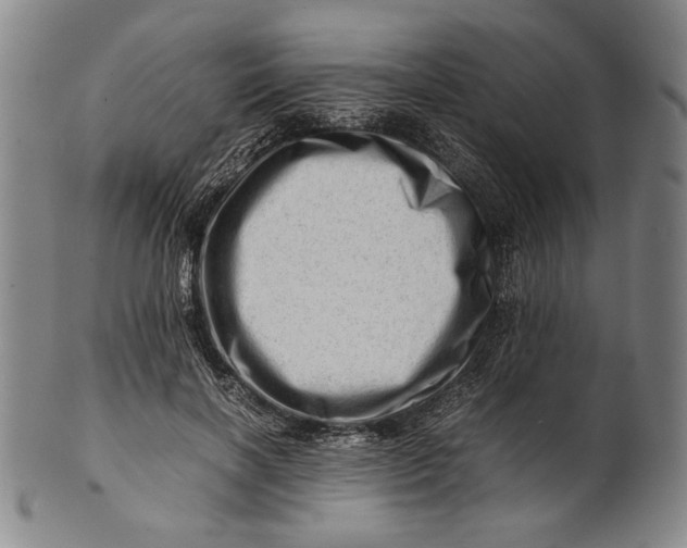 X0000101960646200808081529