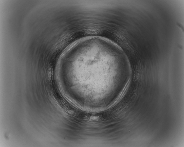 X0000101960647200808081529