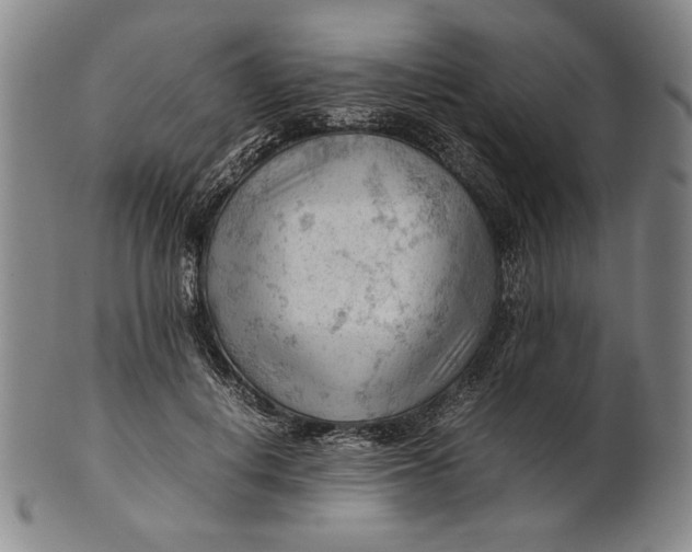 X0000101960648200808081529