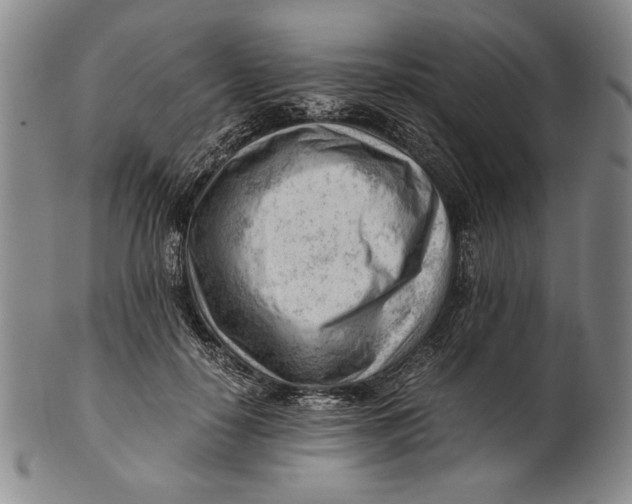X0000101960650200808081529