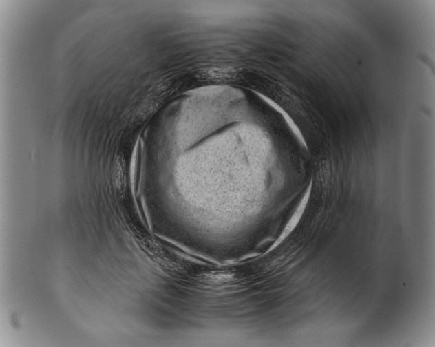 X0000101960651200808081529