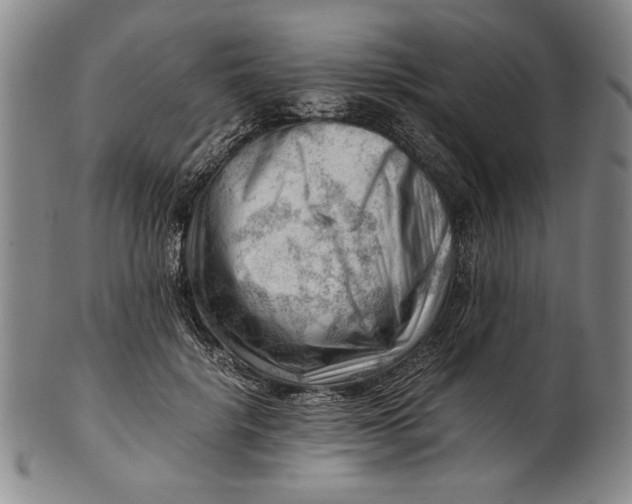 X0000101960652200808081529
