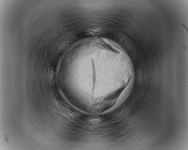 X0000101960653200808081529