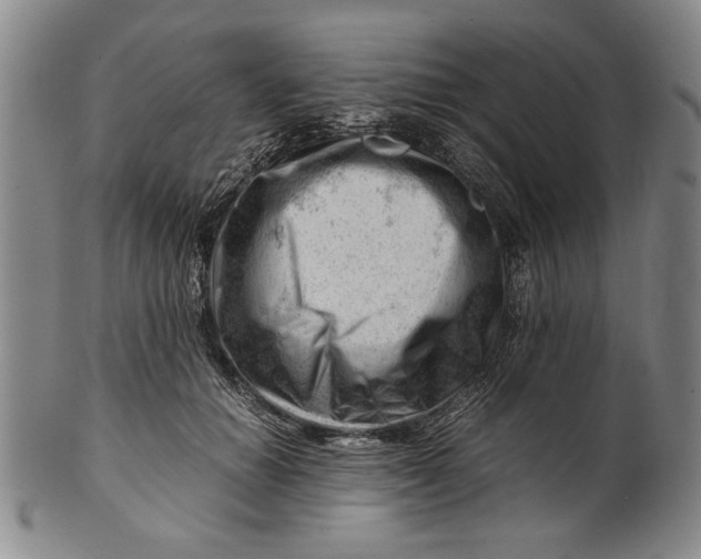 X0000101960654200808081529