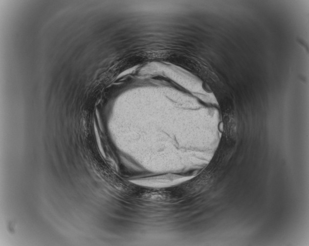 X0000101960655200808081529