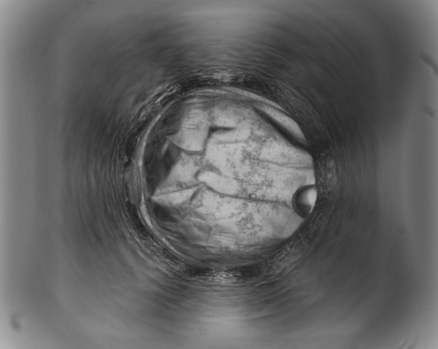 X0000101960656200808081529